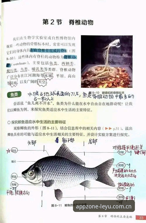 乐鱼安全吗 揭秘乐鱼安全吗?资深玩家亲测v3.0.2版本的实战真相